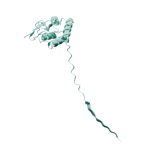P04141-Human GM-CSF -3d structure.jpg